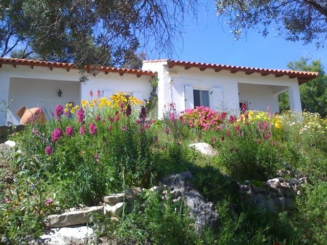 Elena Bungalows Aparthotel Pythagoreio  Bilik gambar